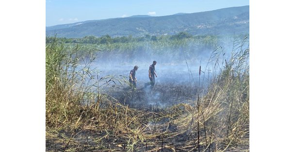 Sapanca Gölü’ndeki sazlık alanda yangın çıktı