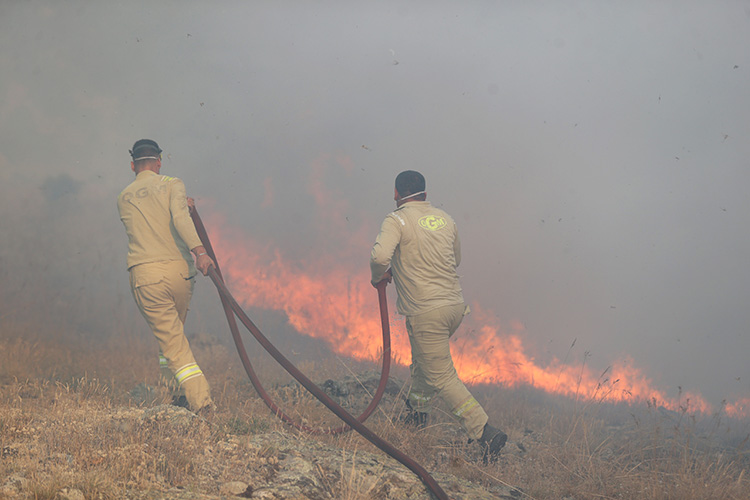 Kırklareli’ndeki orman yangını söndürüldü