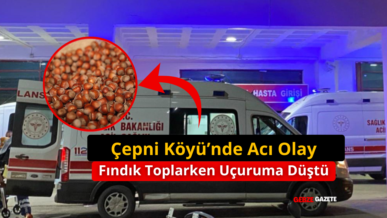 Espiye’de Talihsiz Kaza: Kadın Hayatını Kaybetti, Oğlu Yaralandı