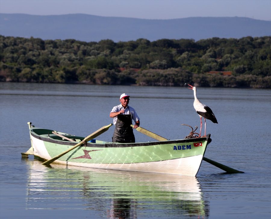 Yaren Leylek’in yavruları göç yolunda