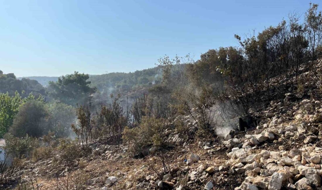 İzmir Buca’daki orman yangını kontrol altına alındı