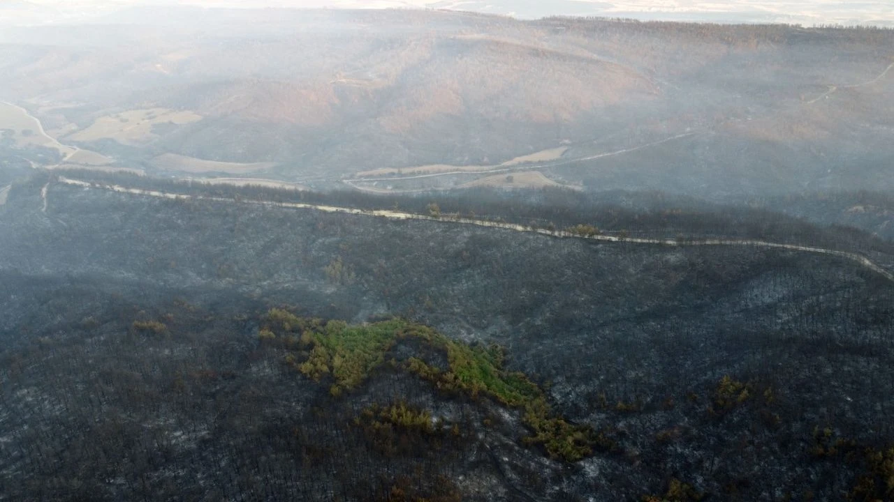 Gelibolu’daki yangından etkilenen köylerde hasar tespit çalışmaları sürüyor