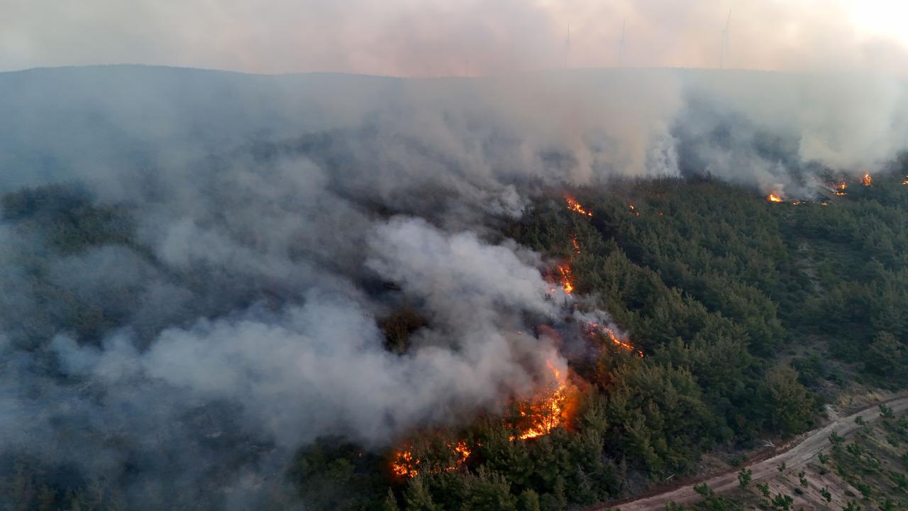 7 ilde orman yangınları kontrol altında