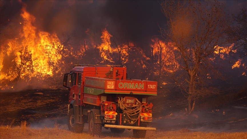 Ezine, Enez ve Şehzadeler’deki orman yangınları söndürüldü