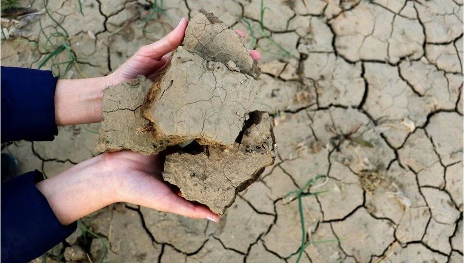 Türkiye’de 3 bölge için kuraklık uyarısı