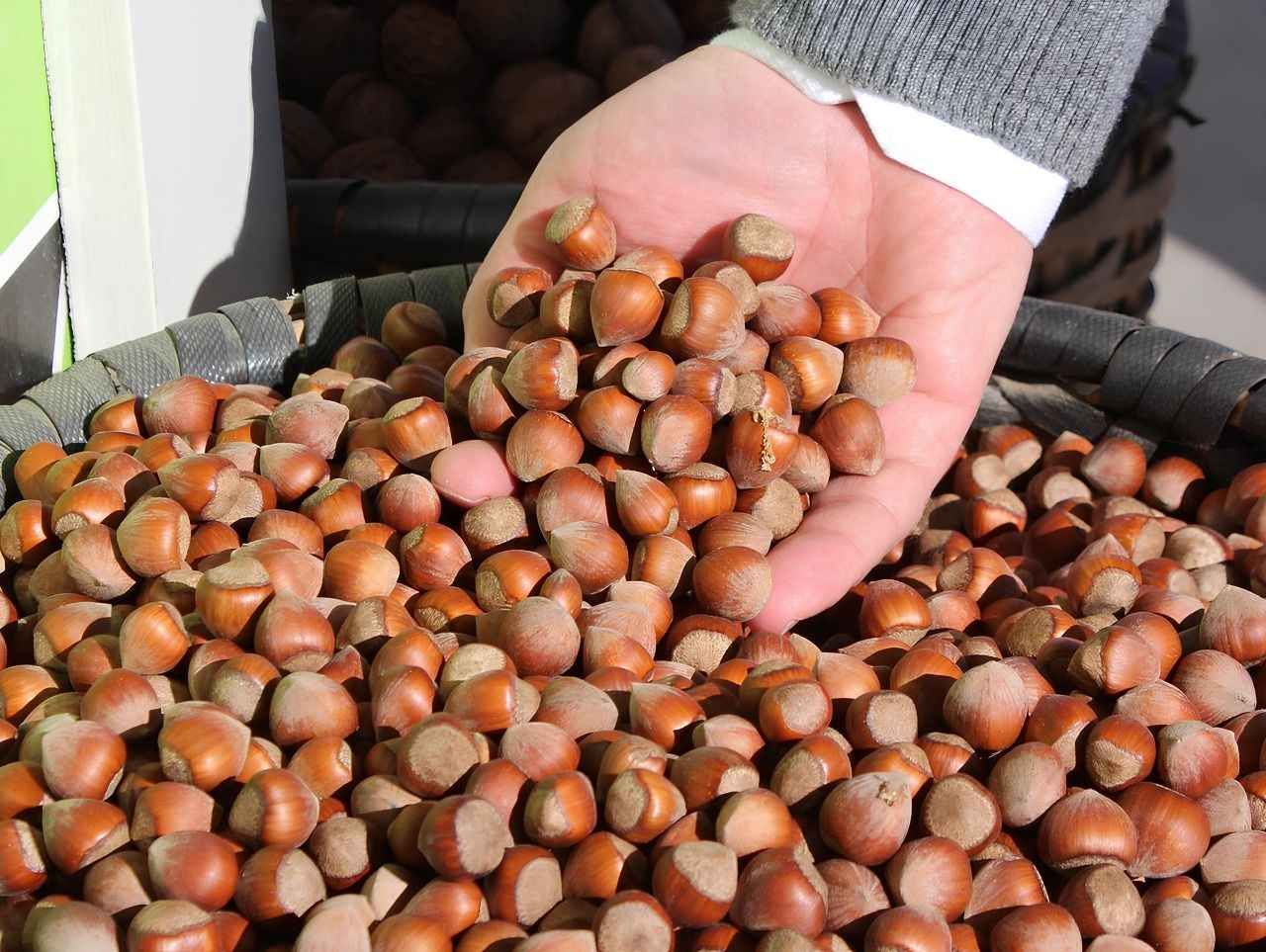 Fındık Fiyatı Psikolojik Eşiği Aştı