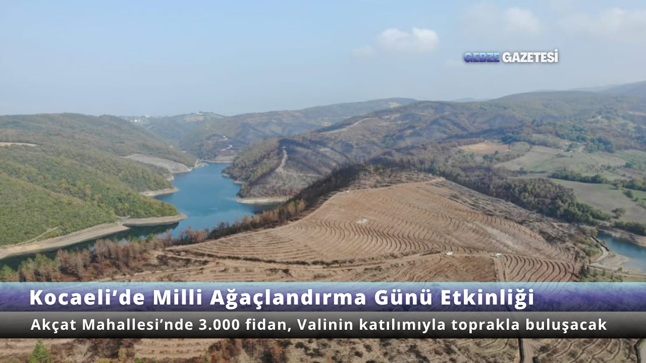 Kocaeli’de Milli Ağaçlandırma Günü’nde Fidanlar Toprakla Buluşacak