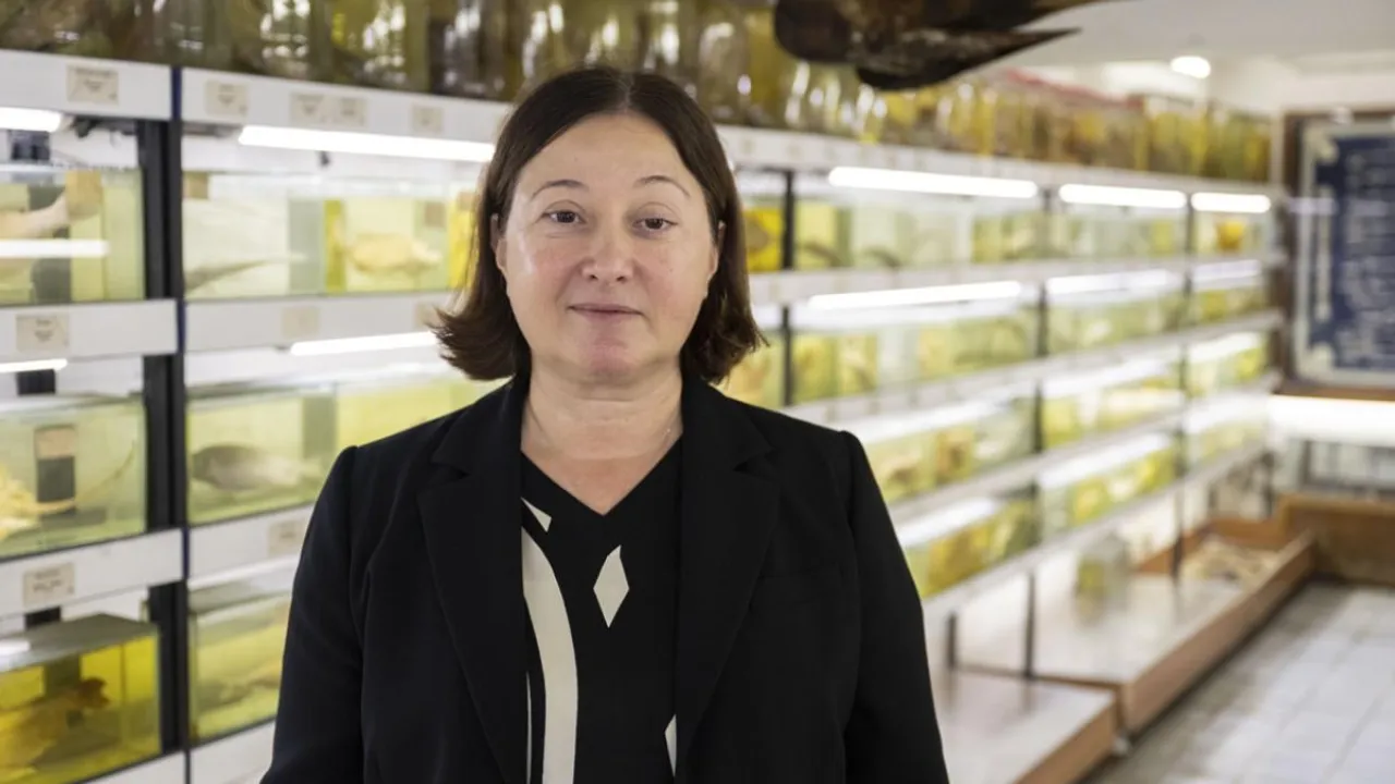 Türkiye’nin denizlerinde balık türlerindeki azalma alarm vermeye başladı