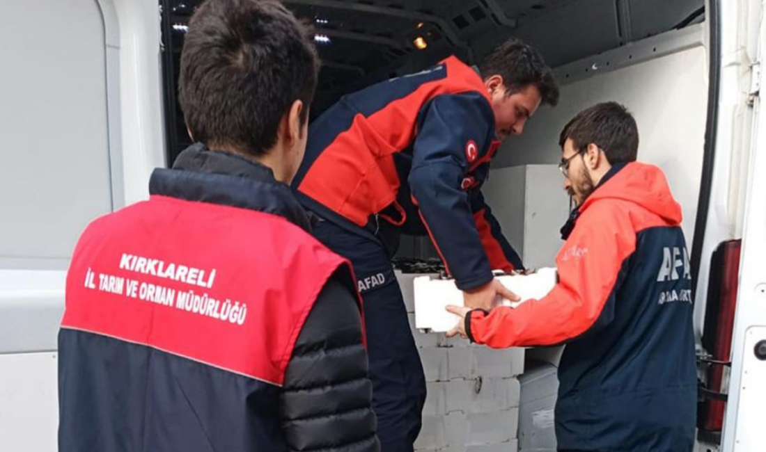 Kırklareli İğneada’da 3 ton kaçak istavrite el konuldu