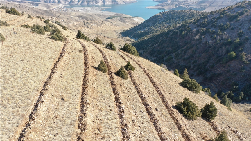 Doğu Anadolu’da yaklaşık 9 milyon fidan ve tohum toprakla buluşturuldu