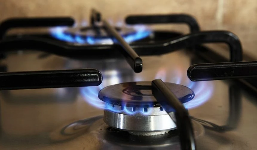 Doğal gaz tüketim desteğinde yılın ilk ödemesi yapıldı