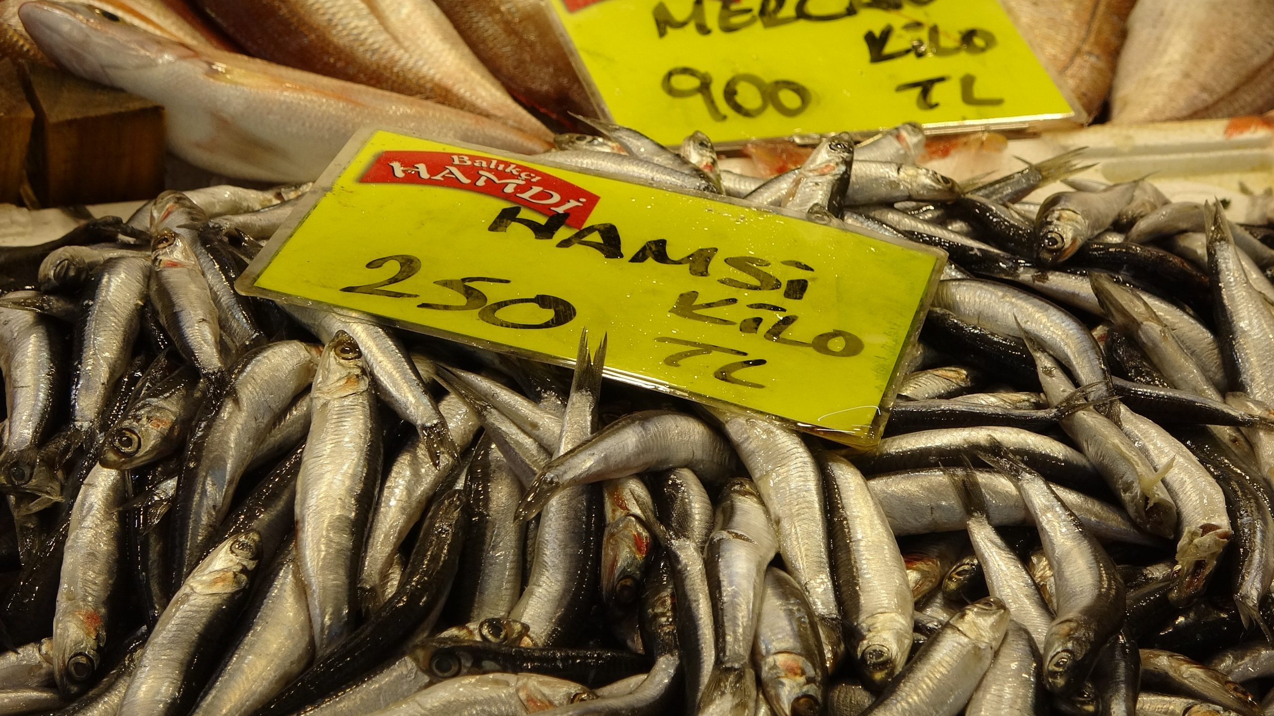 Balık tezgahları kış aylarını aratmıyor