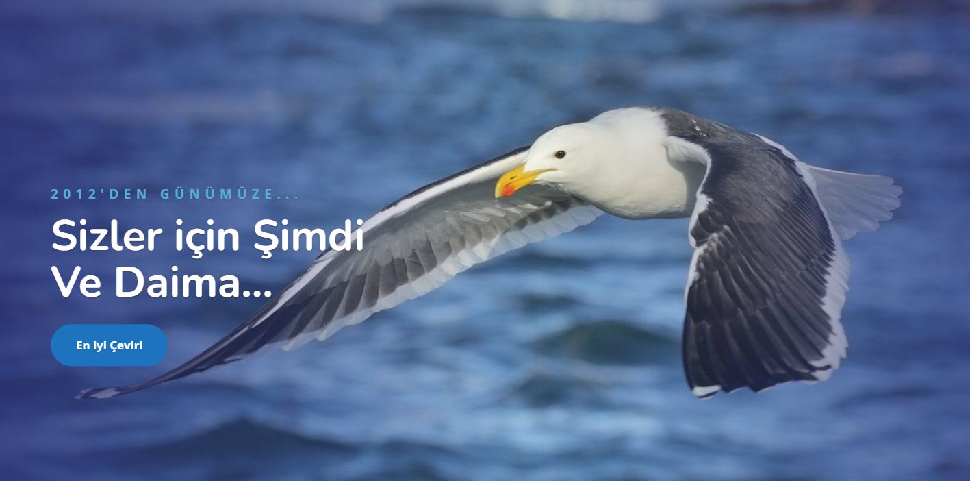 Noter İstifa Ücreti – Okeanos Tercüme